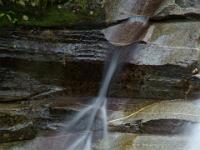 Wassermännchen im Gößbach - Maltatal